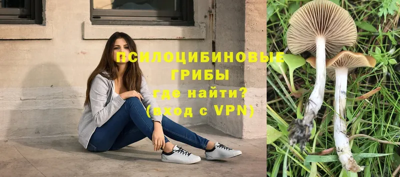 Какие есть наркотики Химки Бошки Шишки  Мефедрон  Кокаин  A PVP  ГАШИШ 